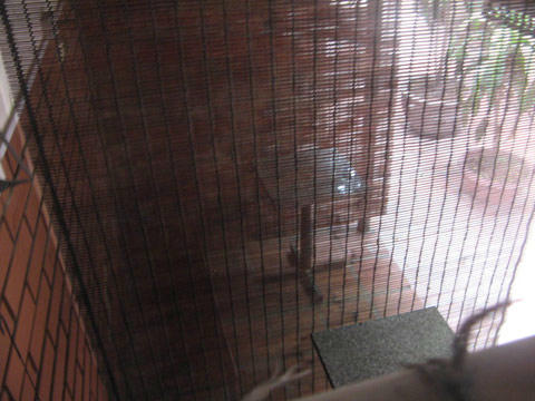 Mỗi gian buồng rộng 2m là chốn hẹn hò buổi trưa của dân công sở