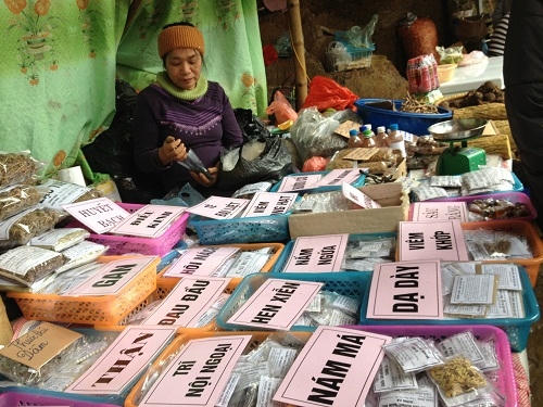 "Thầy lang" bắt mạch, chẩn bệnh