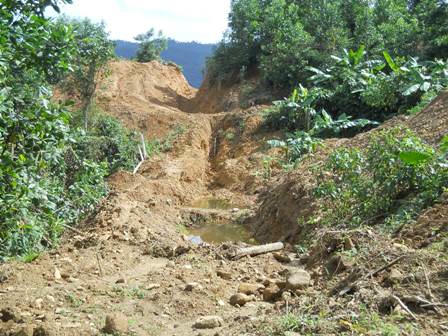 Một khu rừng bị “vàng tặc” băm nát. 