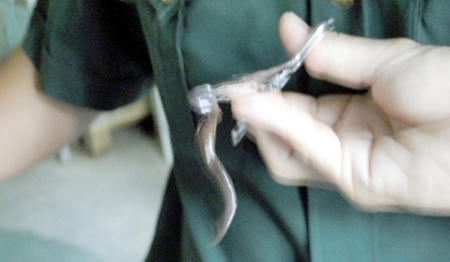 Một trong 2 con vắt được bác sĩ gắp ra từ mũi Pơ Long Thị Than