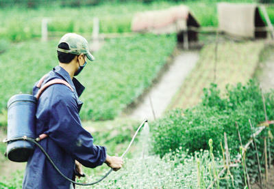 Một trong những nguyên tắc được coi như rất quan trọng trong vấn đề bảo vệ thực vật là hạn chế sử dụng thuốc bảo vệ thực vật