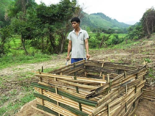 Người chồng trẻ Triệu Đức Long đang giúp vợ làm chuồng gà ở phía rìa rừng sau nhà