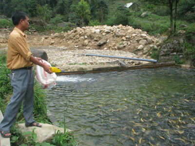 Tỷ phú nông dân Trần Yên bên trại cá trên đỉnh Hoàng Liên Sơn