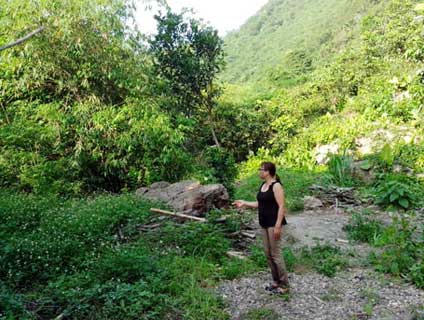 Một khu đất trang trại đang chào bán với mức giá siêu rẻ. 