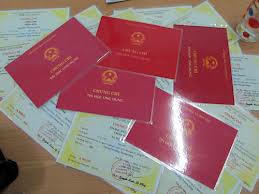 Ảnh chỉ có tính chất minh họa