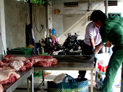 Đưa động vật không nguồn gốc đi tiêu hủy