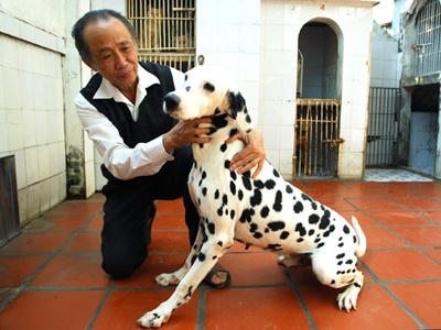 Chó cưng cũng phải đi ở đợ.