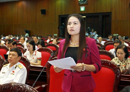 Đại biểu Quốc hội phát biểu ý kiến về Dự thảo Luật Việc làm