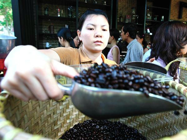 Lượng tồn kho cà phê đang tăng khiến nguy cơ  giảm giá càng lớn. Ảnh: Đức Thanh