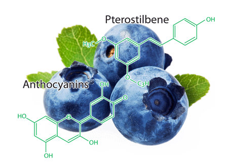 Các chất chống gốc tự do có trong OTIV giúp cải thiện các triệu chứng thiếu máu não và ngăn ngừa đột quỵ
