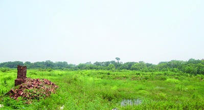 Bãi đất đã bị bỏ hoang từ nhiều năm