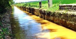 Hình chỉ mang tính minh họa (Internet)