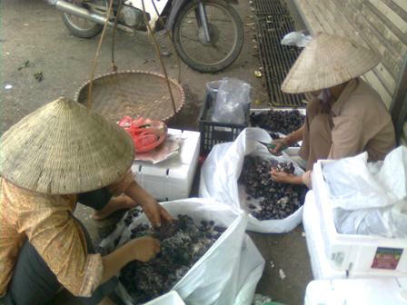  Ngậm ngùi khi mua phải nho thối