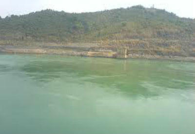 Ảnh chỉ có tính chất minh họa. Nguồn Internet