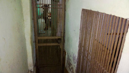  Những phận đời nhem nhuốc ở quanh bệnh viện