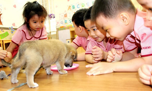 'Mẹ bỉm sữa' hoang mang giữa 'mê hồn trận' sách dạy thiên tài
