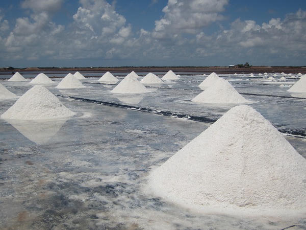 Diêm dân “thoi thóp” trên đồng muối, chính quyền địa phương làm ngơ?