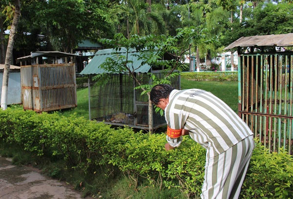 Ký ức nhiều người mơ của phạm nhân mang tội danh lừa đảo