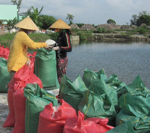 Xót xa 10kg muối Bình Định chưa mua nổi... ổ bánh mì