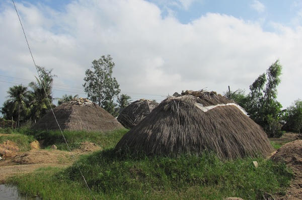 Xót xa 10kg muối Bình Định chưa mua nổi... ổ bánh mì