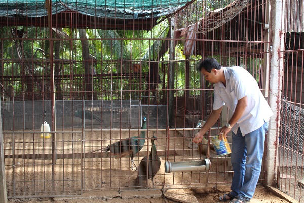 Đời ly kỳ của chủ nhân 'chú rùa may mắn' tiền tỷ