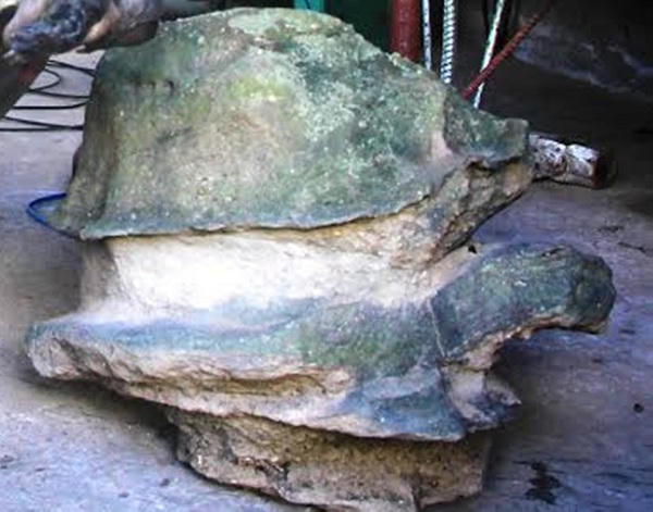 Đời ly kỳ của chủ nhân 'chú rùa may mắn' tiền tỷ