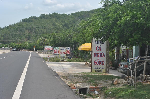 Những điều mắt thấy tai nghe ở thủ phủ “thần dược” cá ngựa