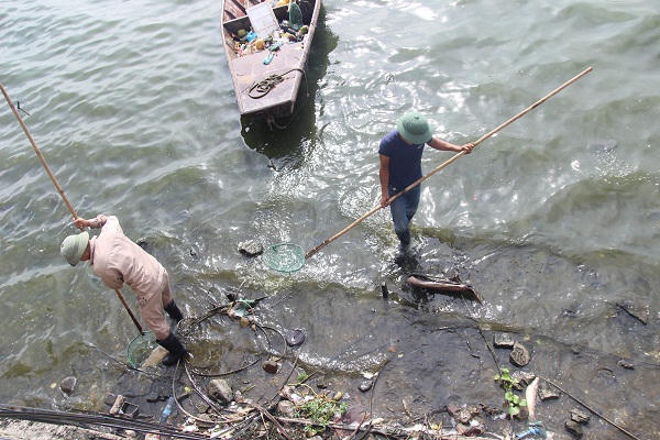 Nhiều xác cá chết bất thường dạt bờ hồ Tây