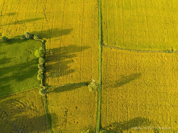 Ngất ngây chiêm ngưỡng cảnh đẹp ba miền Bắc - Trung - Nam nhìn từ bầu trời