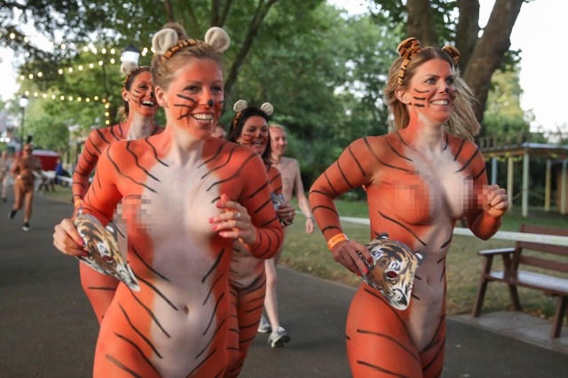 Vì bảo vệ hổ, hàng trăm người khỏa thân chạy dưới đường