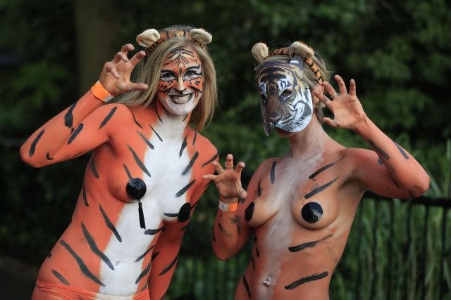 Vì bảo vệ hổ, hàng trăm người khỏa thân chạy dưới đường