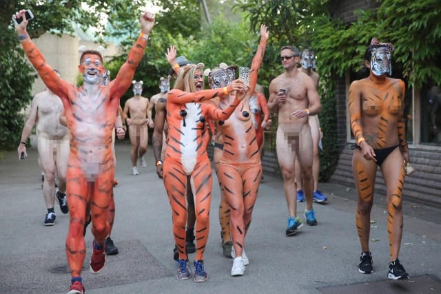 Vì bảo vệ hổ, hàng trăm người khỏa thân chạy dưới đường