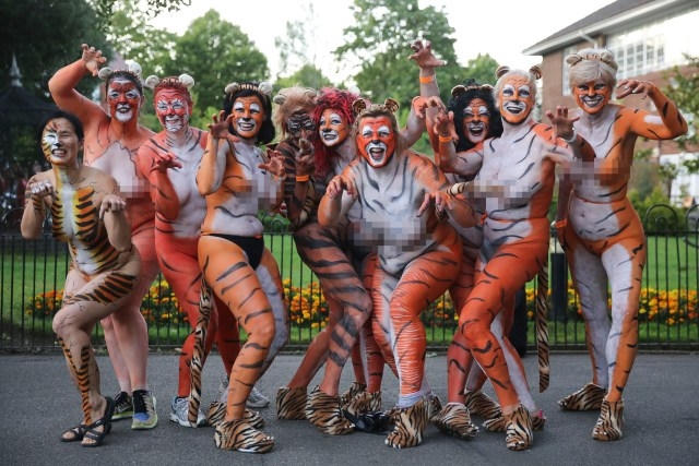 Vì bảo vệ hổ, hàng trăm người khỏa thân chạy dưới đường