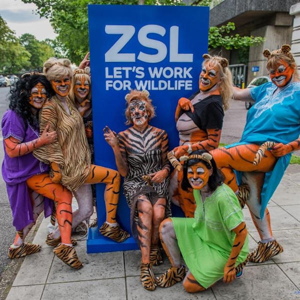 Vì bảo vệ hổ, hàng trăm người khỏa thân chạy dưới đường