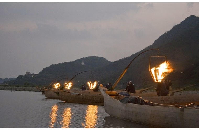 Độc đáo kỹ thuật đánh bắt cá bằng chim cốc và lửa ở Nhật Bản