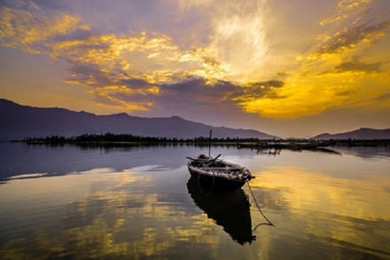 Canh sac may long bong nuoc tuyet dep o dam Lap An hinh anh 2