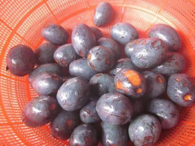 du lịch, phú thọ, đặc sản, đặc sản phú thọ, thịt chua, bánh chưng, cọ