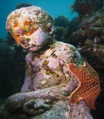 Video về bảo tàng điêu khắc dưới đáy biển MUSA