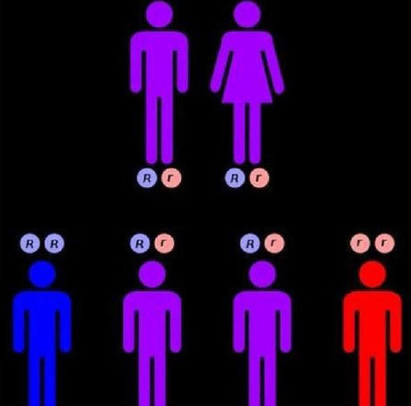 Tiết lộ bí mật về tộc người mặt xanh