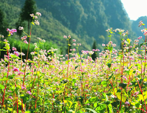 3 địa điểm tuyệt vời cho dân phượt dịp 2/9 - 5