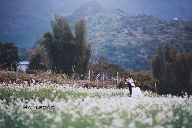 Nhung diem chup anh cuoi dep nhu mo o Viet Nam hinh anh 14