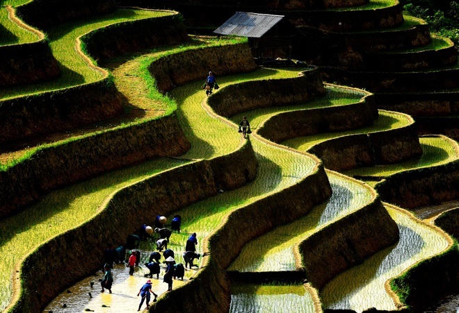 Khoảnh khắc đất và người Hoàng Su Phì 