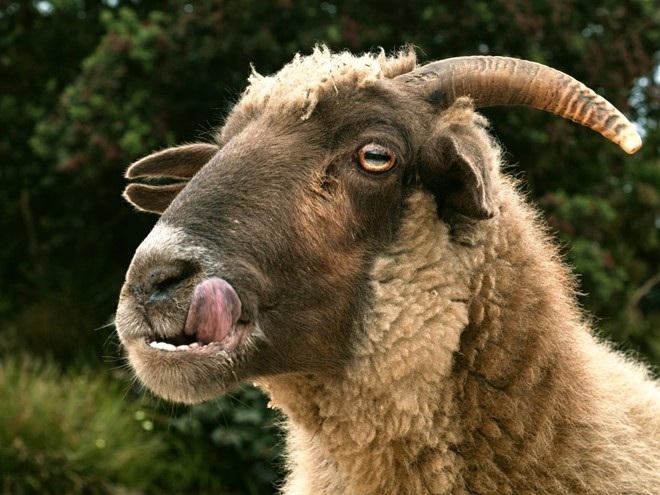 Những quan niệm mê tín lạ lùng trên thế giới