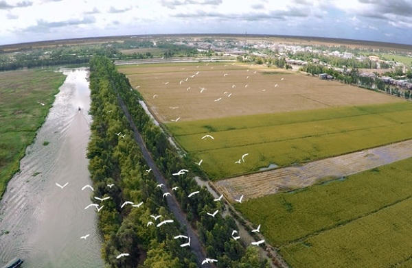 Khám phá Vườn quốc gia Tràm Chim mùa nước nổi