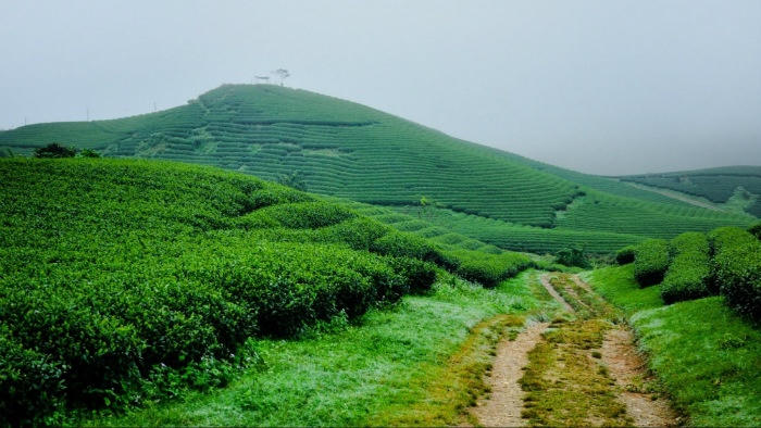 Điểm đến không nên bỏ lỡ vào tháng 10