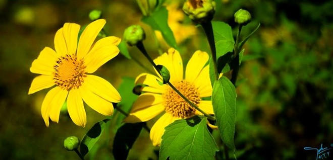 Điểm đến không nên bỏ lỡ vào tháng 10