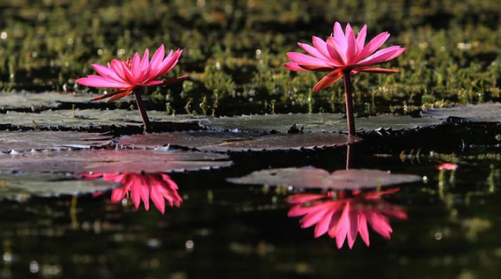 Lạc giữa suối Yến nên thơ giữa mùa Thu 