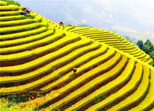 Ngây ngất trước những bức ảnh làng quê Bắc Bộ