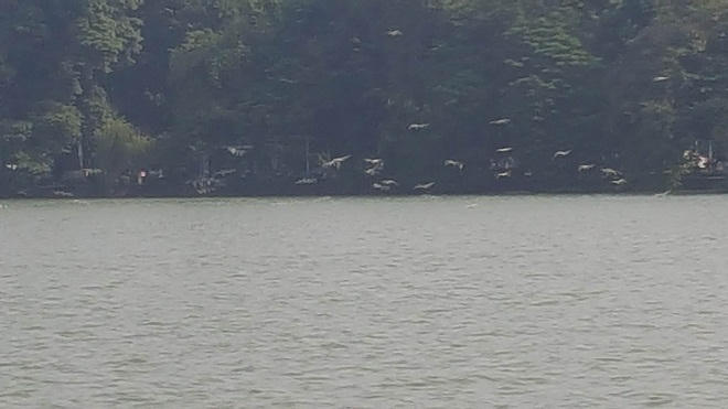 Chuyện lạ quanh Tháp Rùa giáp ngày 10/10