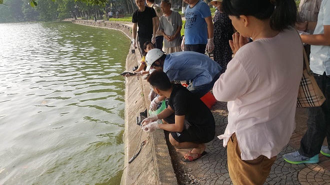 Chuyện lạ quanh Tháp Rùa giáp ngày 10/10